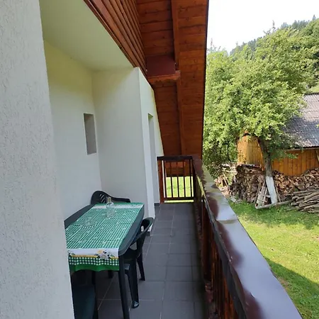 Pensiunea Piatra Mandrutului Scarisoara  Exterior photo