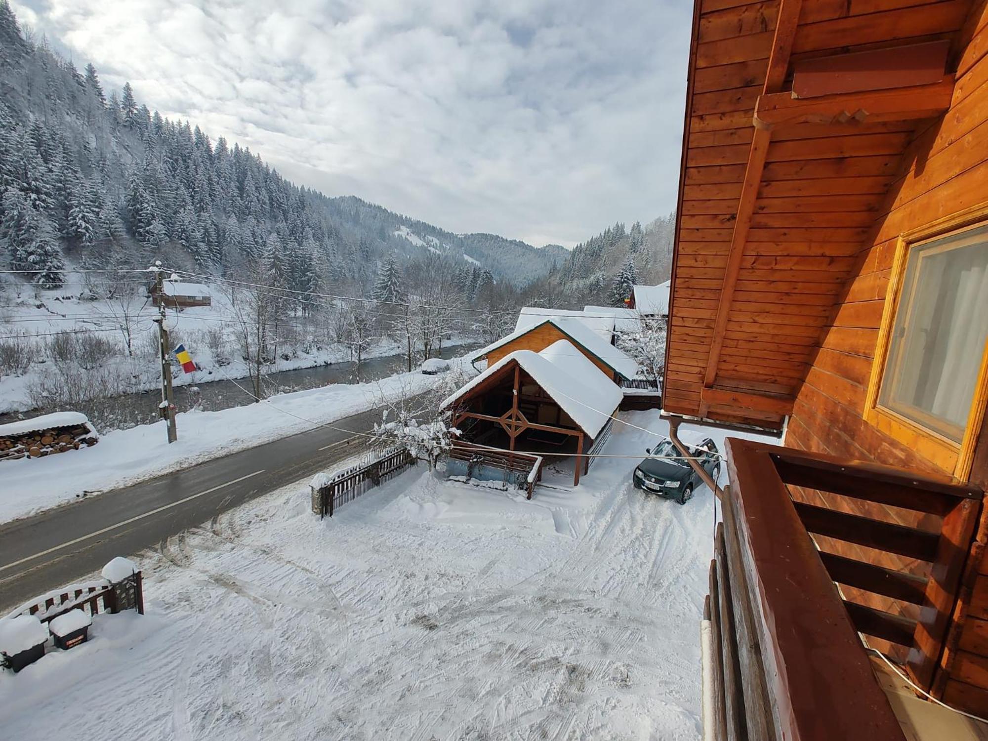 Pensiunea Piatra Mandrutului Farm stay Scarisoara (Alba)