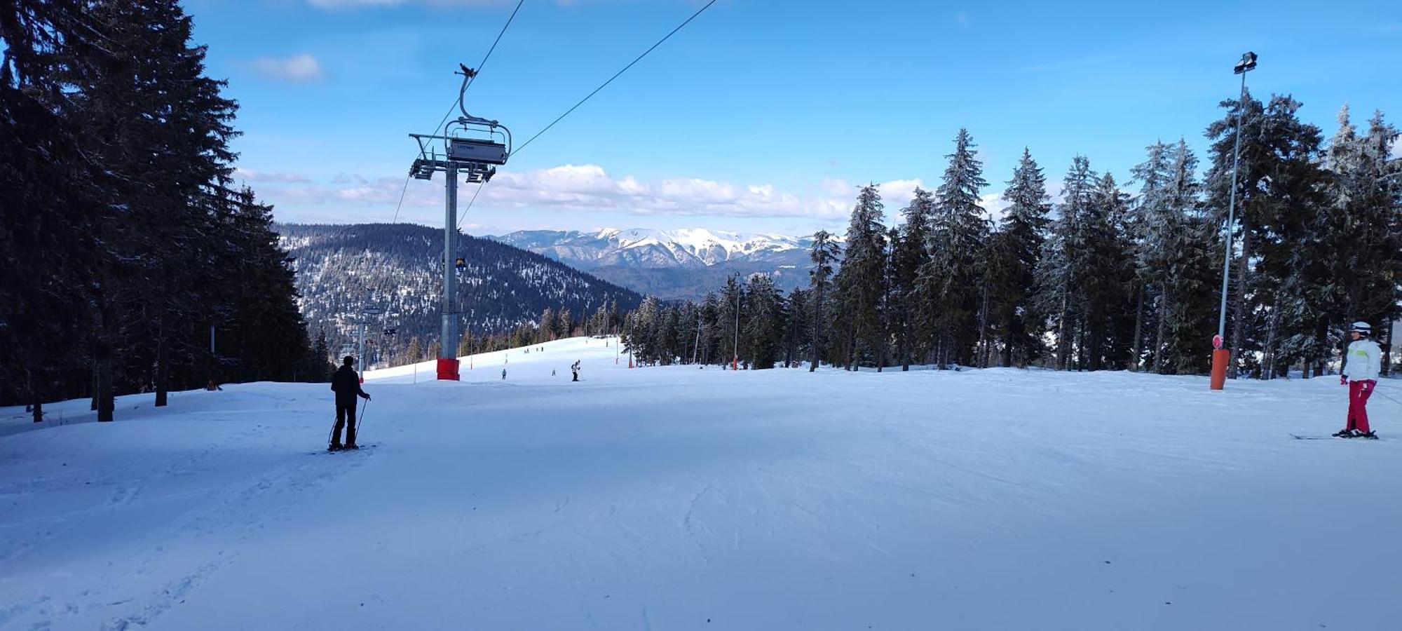 Pensiunea Piatra Mandrutului Farm stay Scarisoara (Alba)