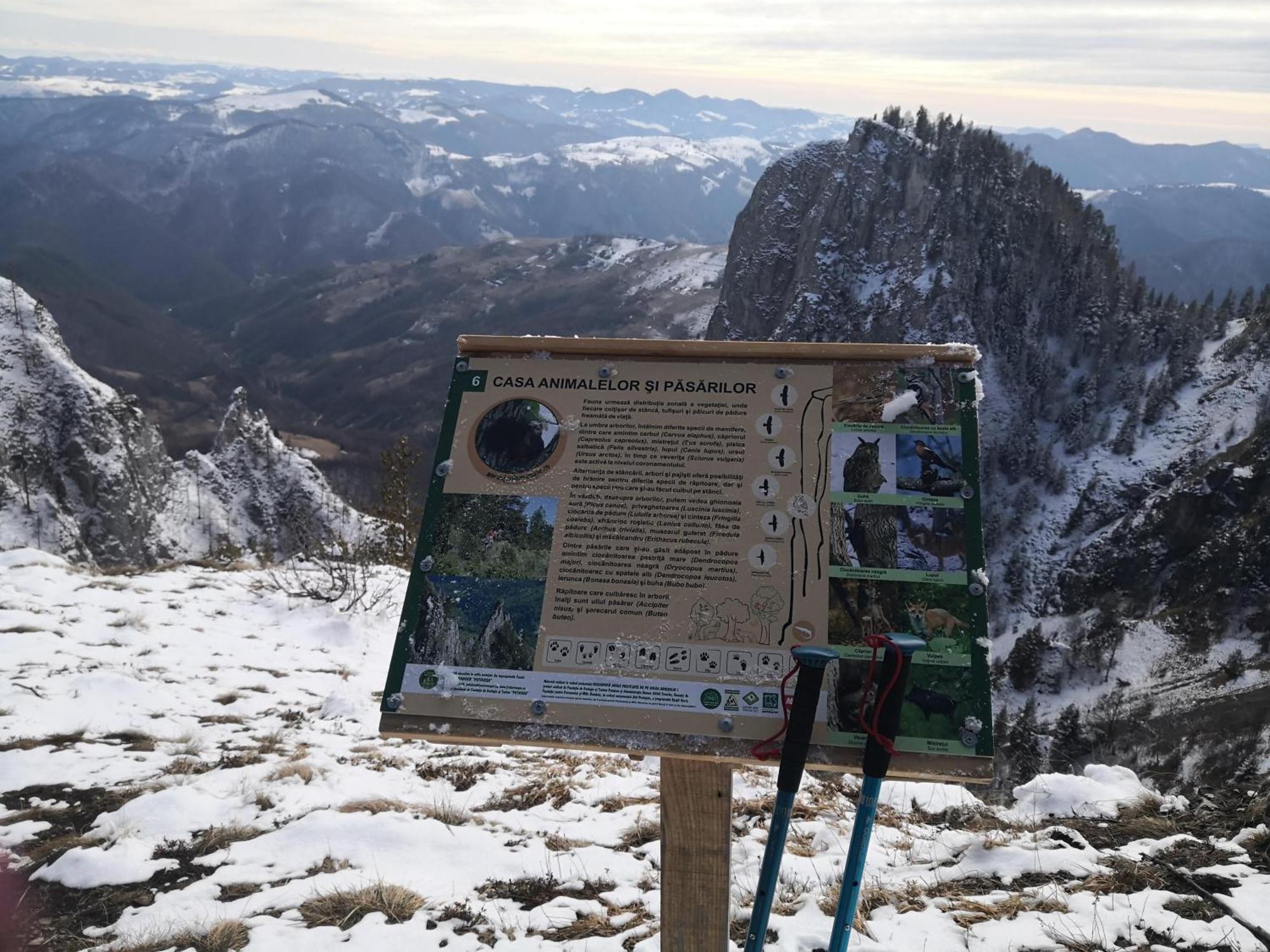 Pensiunea Piatra Mandrutului Scarisoara (Alba)