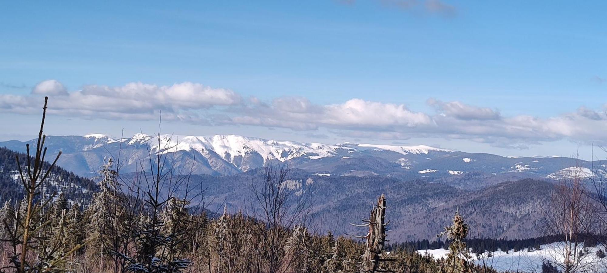 Pensiunea Piatra Mandrutului Farm stay Scarisoara (Alba)