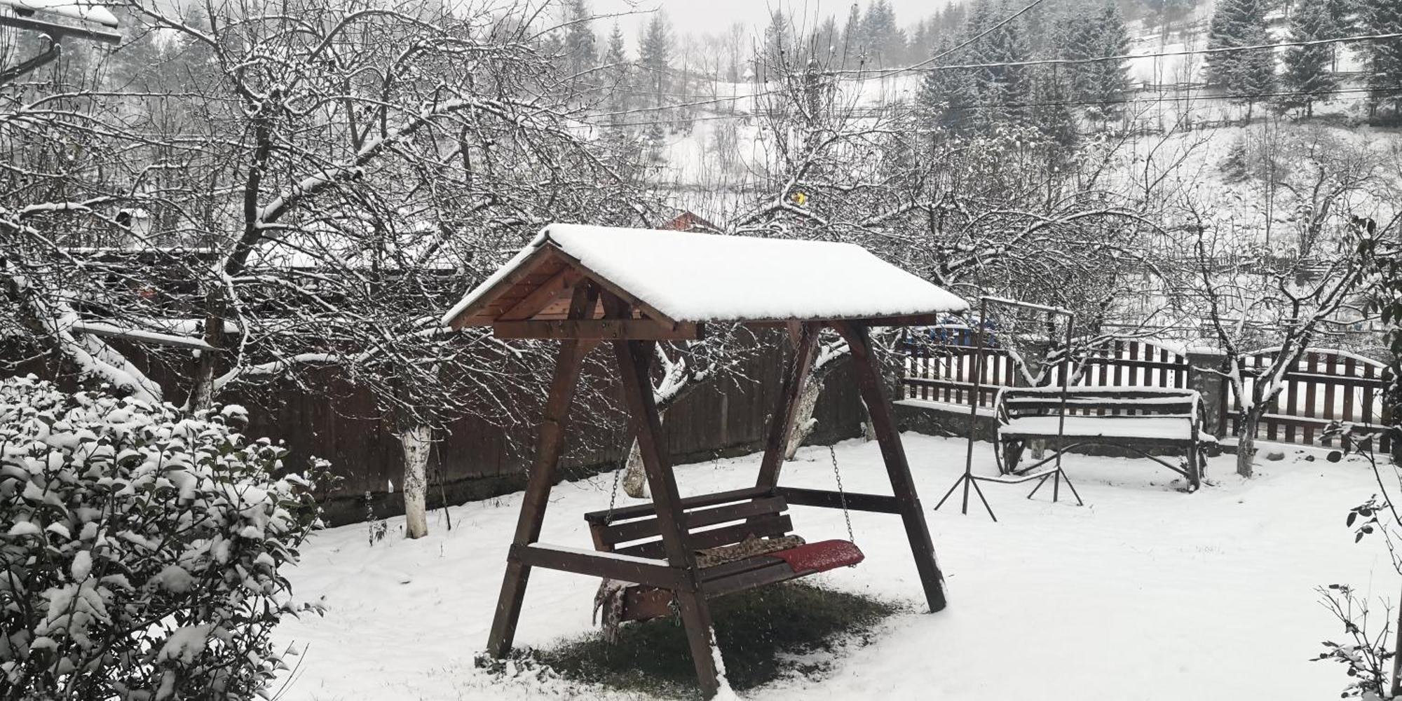 Farm stay Pensiunea Piatra Mandrutului