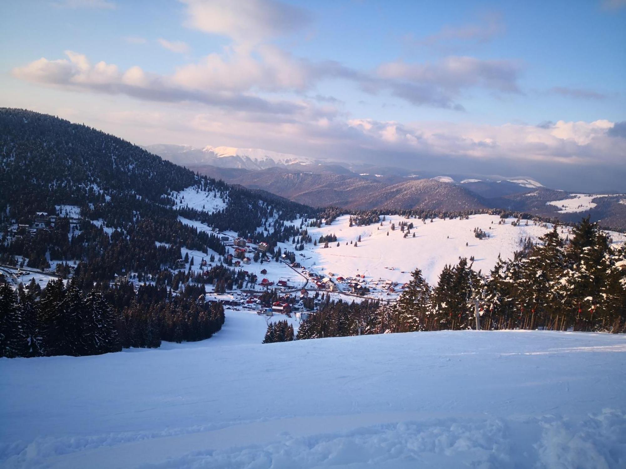 Pensiunea Piatra Mandrutului Farm stay Scarisoara (Alba)
