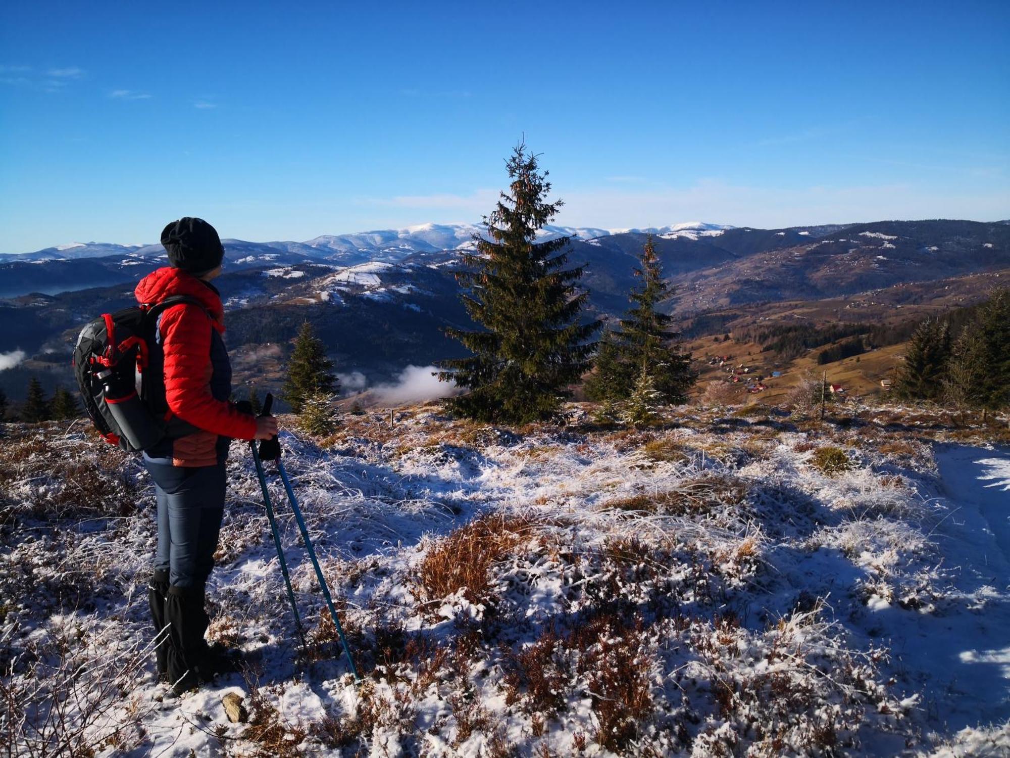 Pensiunea Piatra Mandrutului * Scarisoara (Alba)