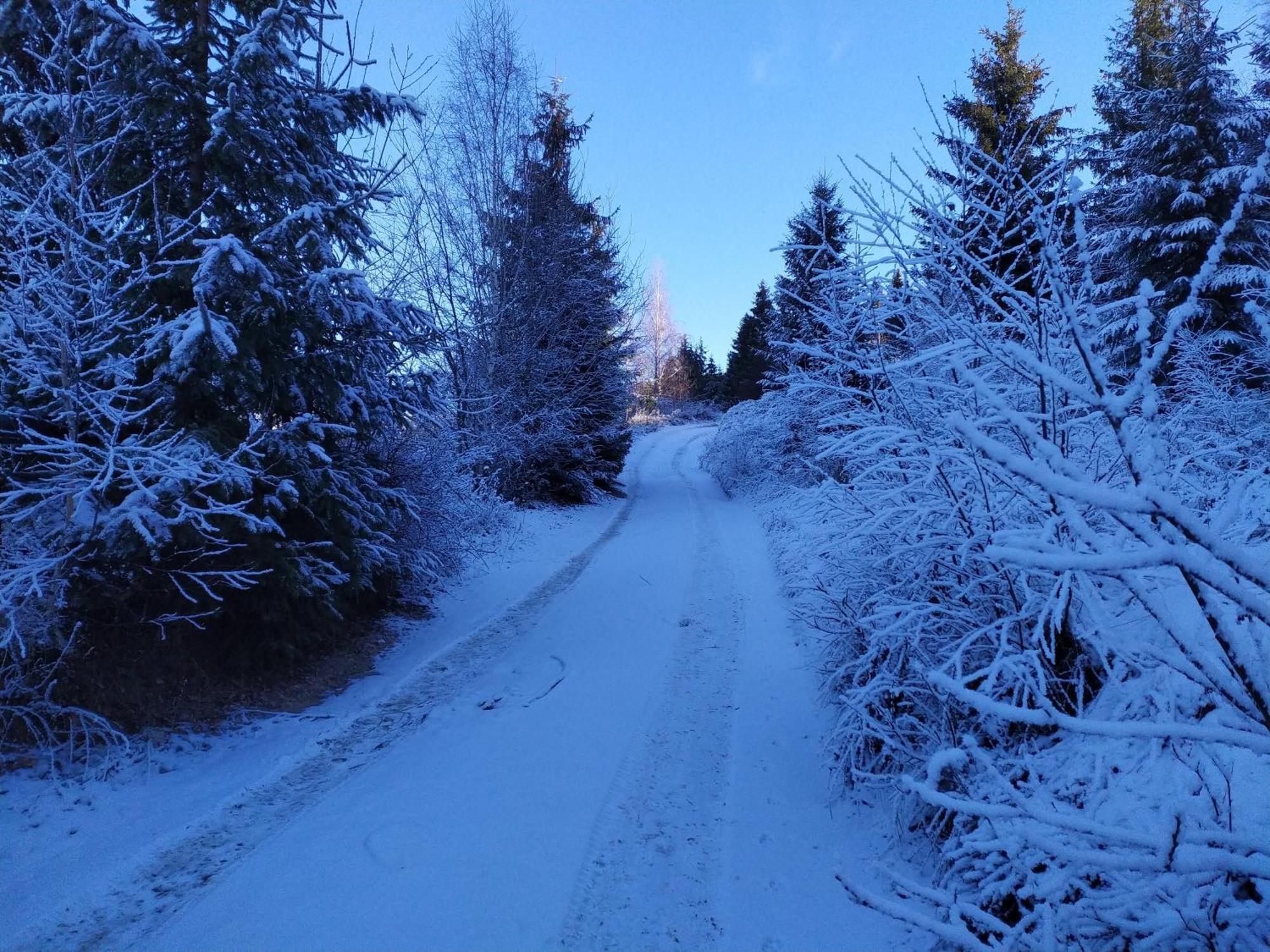 Pensiunea Piatra Mandrutului Scarisoara (Alba)