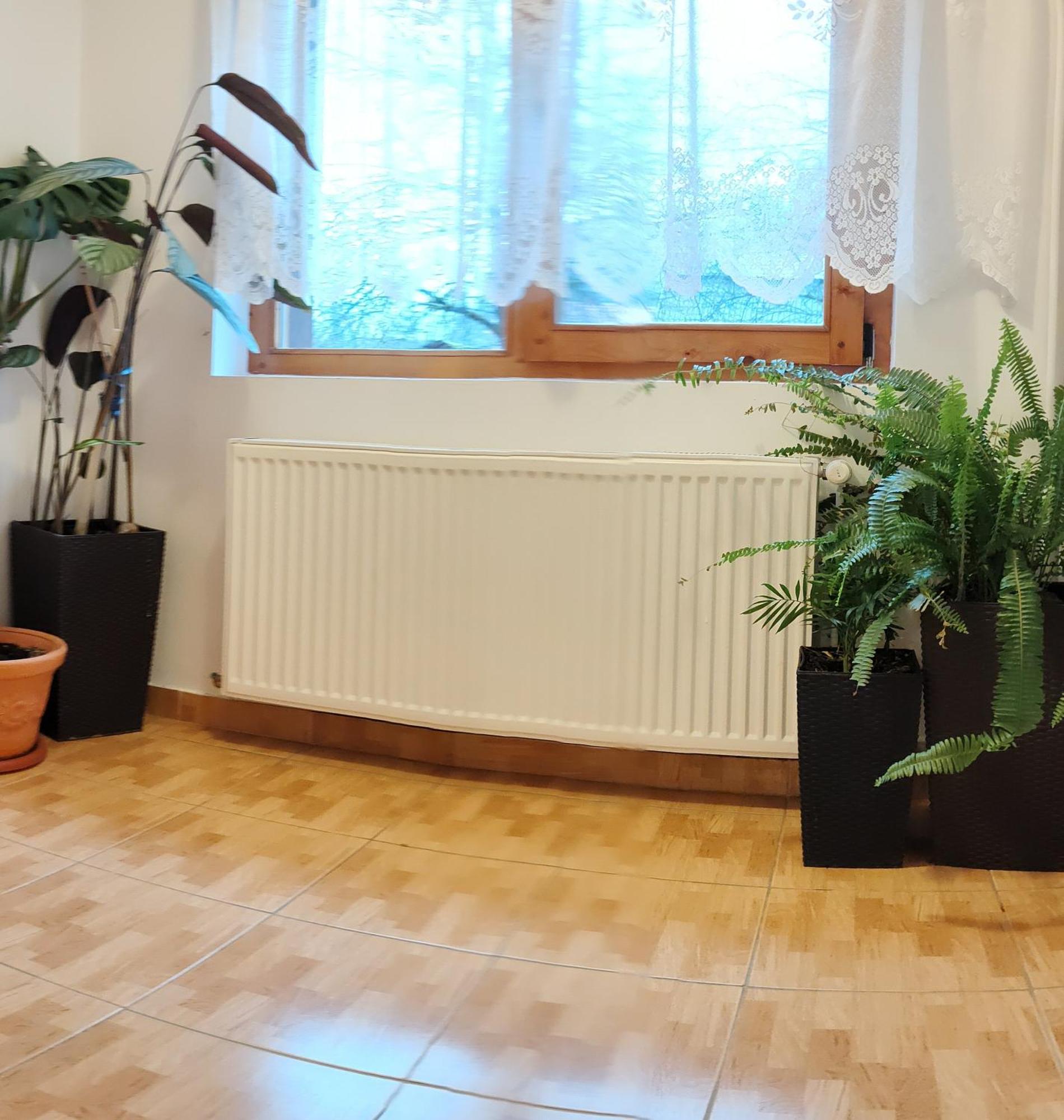 Pensiunea Piatra Mandrutului Farm stay Scarisoara (Alba)