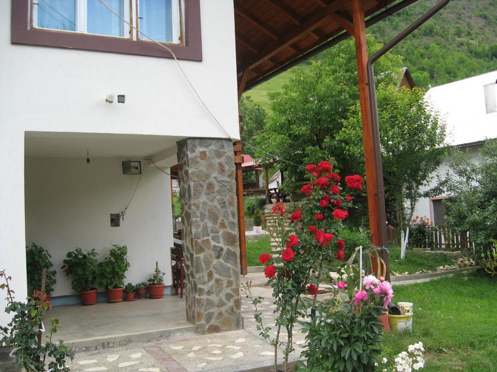 Farm stay Pensiunea Piatra Mandrutului *