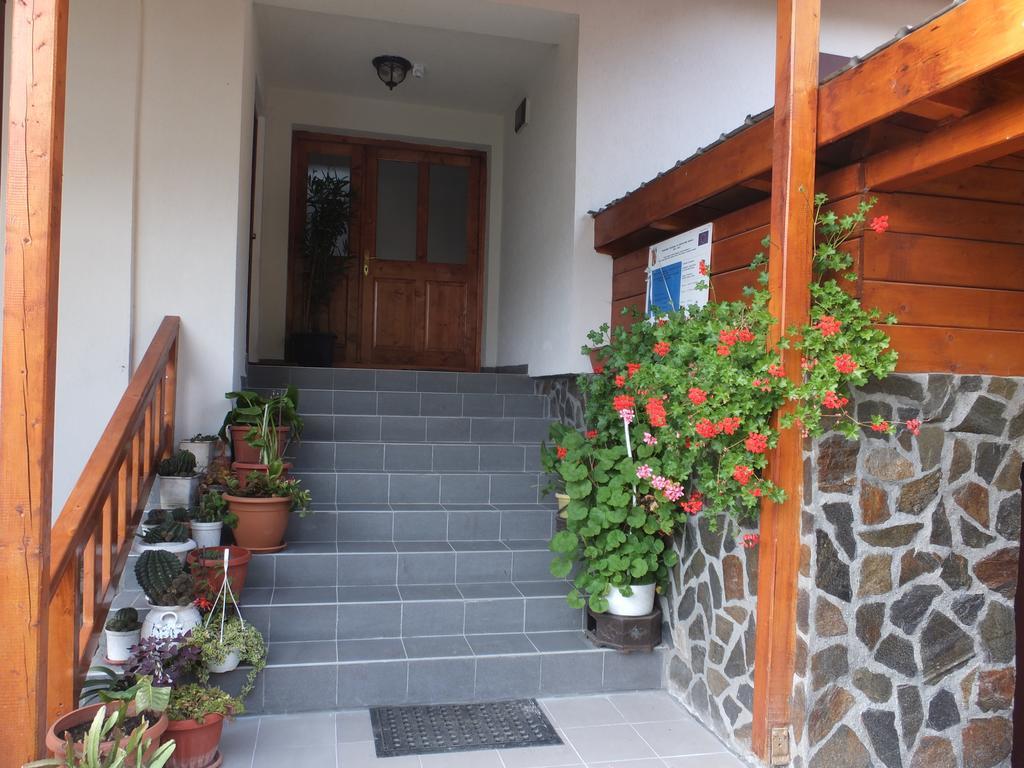 Pensiunea Piatra Mandrutului Farm stay *