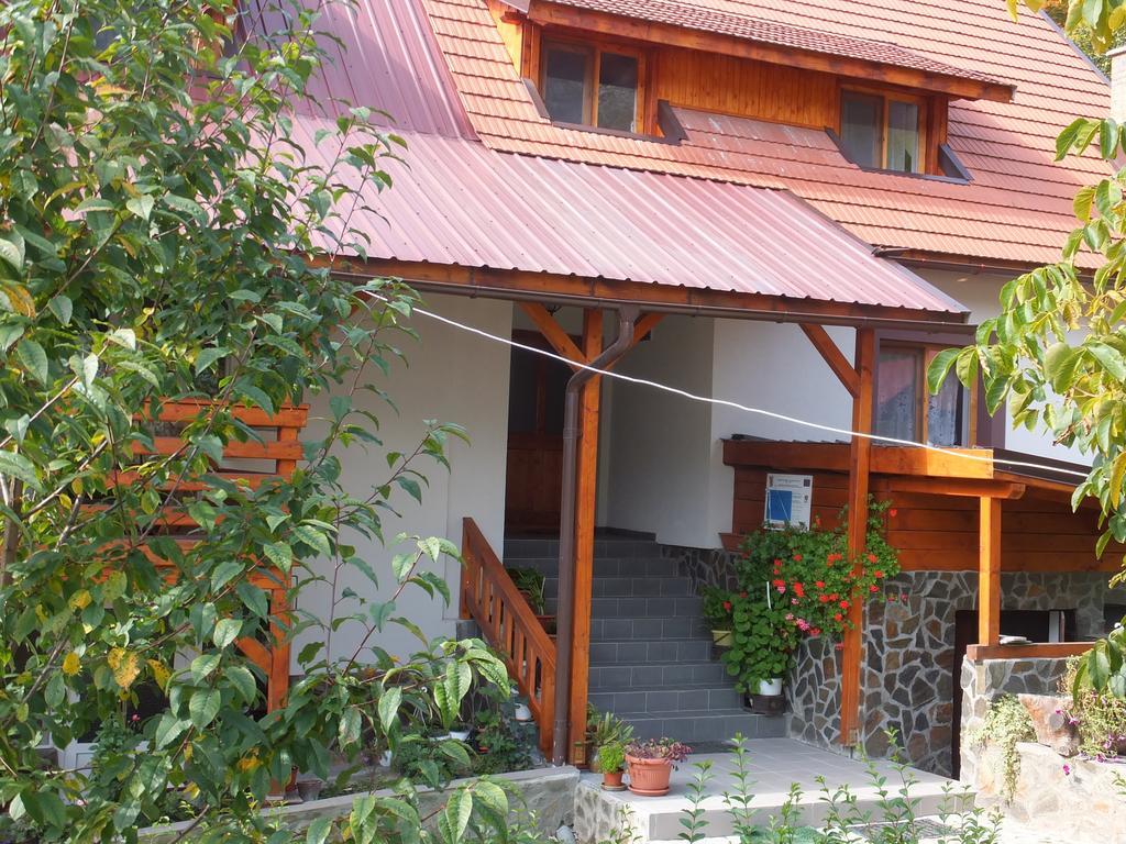 Farm stay Pensiunea Piatra Mandrutului