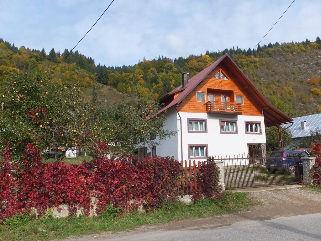 Pensiunea Piatra Mandrutului Scarisoara (Alba)