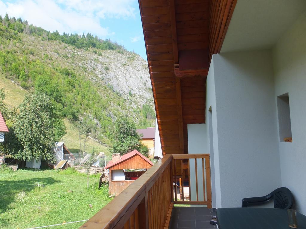 Pensiunea Piatra Mandrutului Farm stay Scarisoara (Alba)