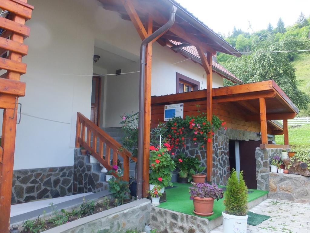 Farm stay Pensiunea Piatra Mandrutului