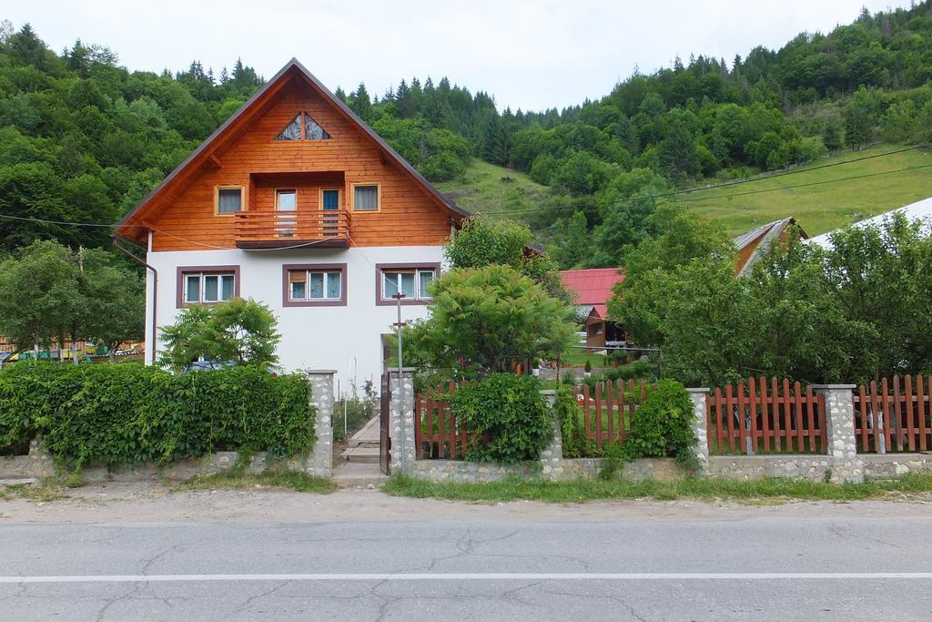 Farm stay Pensiunea Piatra Mandrutului Scarisoara (Alba)
