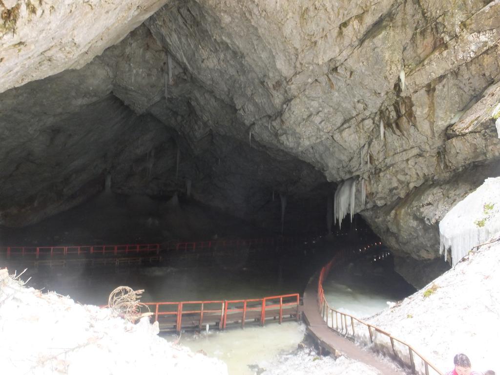 Farm stay Pensiunea Piatra Mandrutului Scarisoara (Alba)