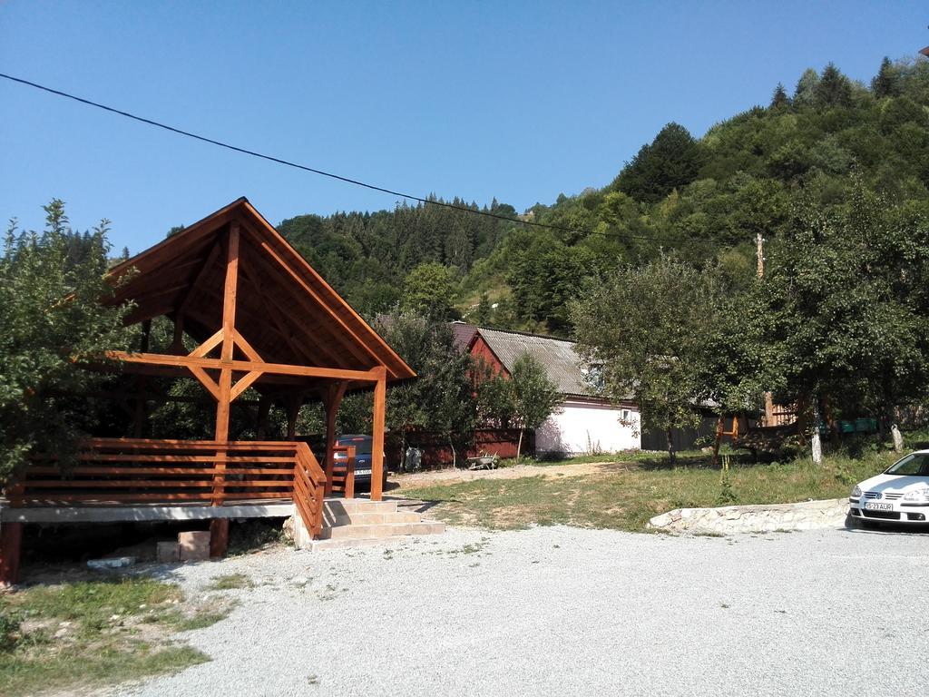 Farm stay Pensiunea Piatra Mandrutului *