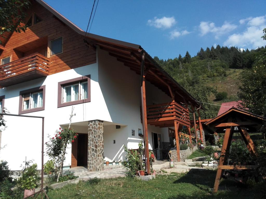 Pensiunea Piatra Mandrutului Scarisoara (Alba)