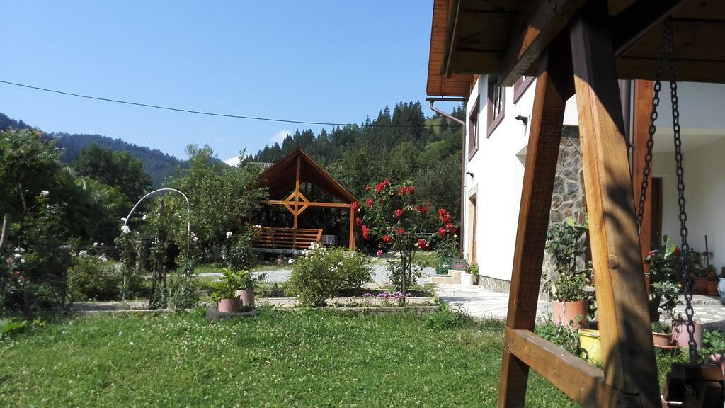 Pensiunea Piatra Mandrutului Scarisoara (Alba)