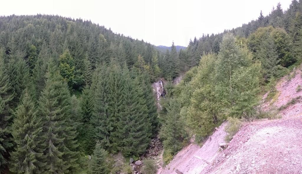 Pensiunea Piatra Mandrutului *