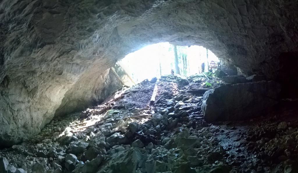 Pensiunea Piatra Mandrutului * Scarisoara (Alba)