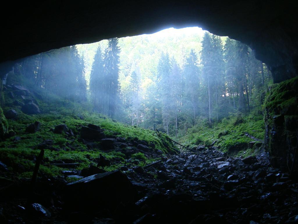 Pensiunea Piatra Mandrutului * Scarisoara (Alba)
