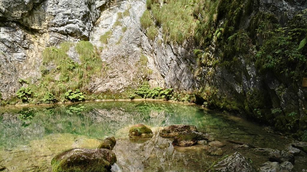 Pensiunea Piatra Mandrutului Scarisoara (Alba)