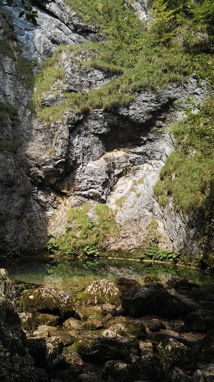 Pensiunea Piatra Mandrutului Bauernhof