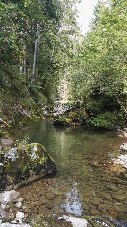 Bauernhof Pensiunea Piatra Mandrutului *