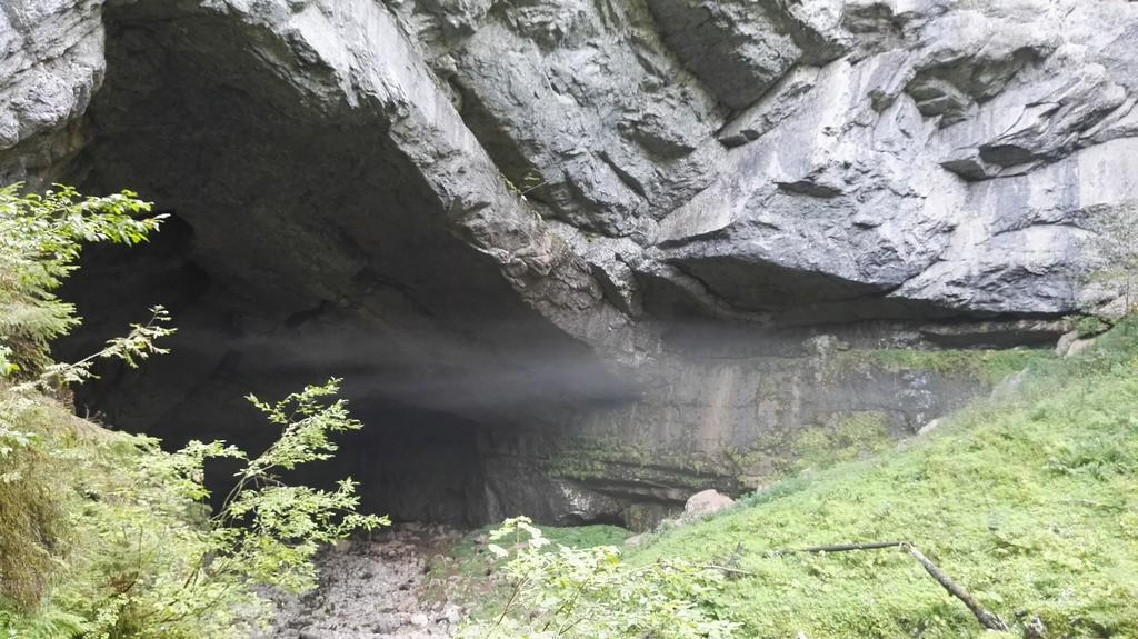 Pensiunea Piatra Mandrutului Farm stay *
