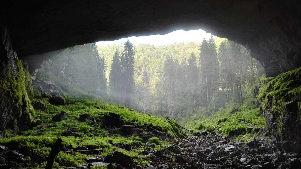 Bauernhof Pensiunea Piatra Mandrutului