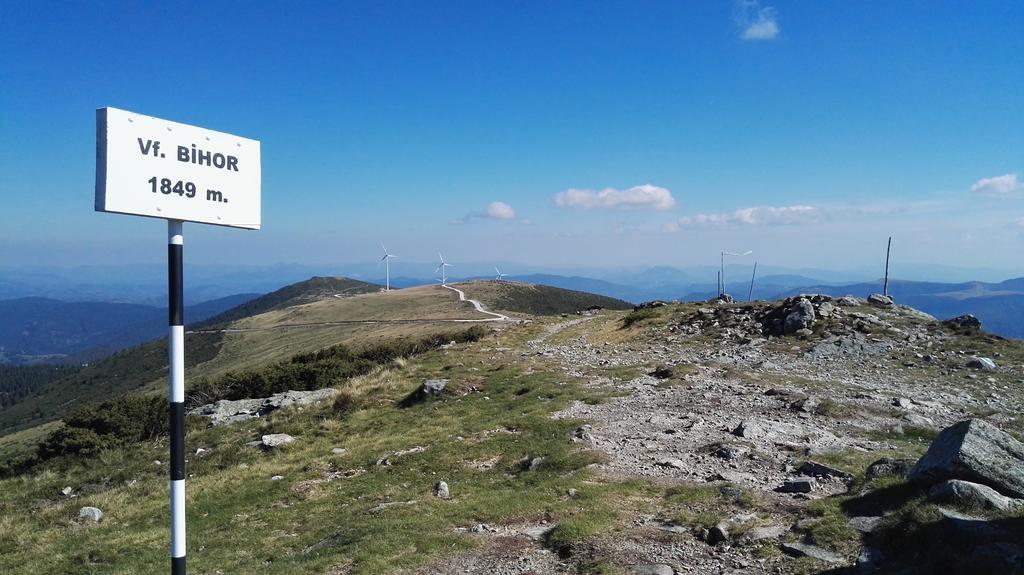 Pensiunea Piatra Mandrutului *