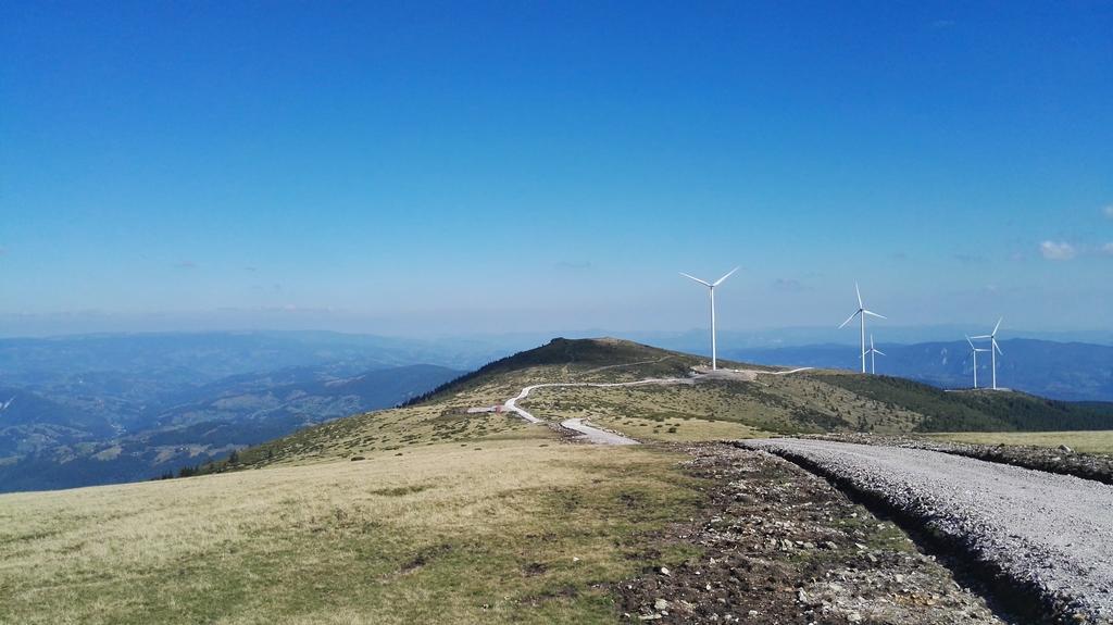 Pensiunea Piatra Mandrutului