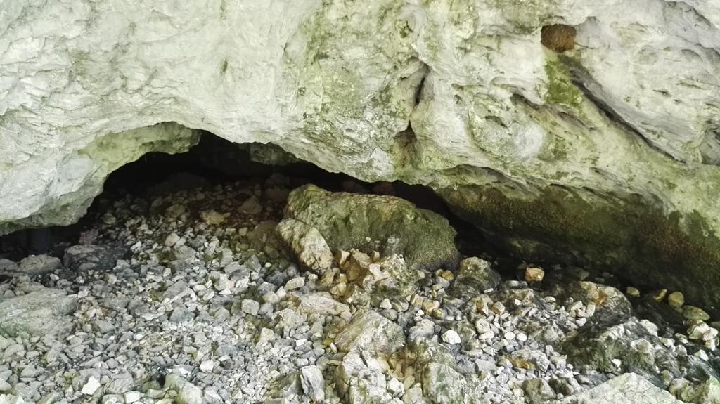Pensiunea Piatra Mandrutului