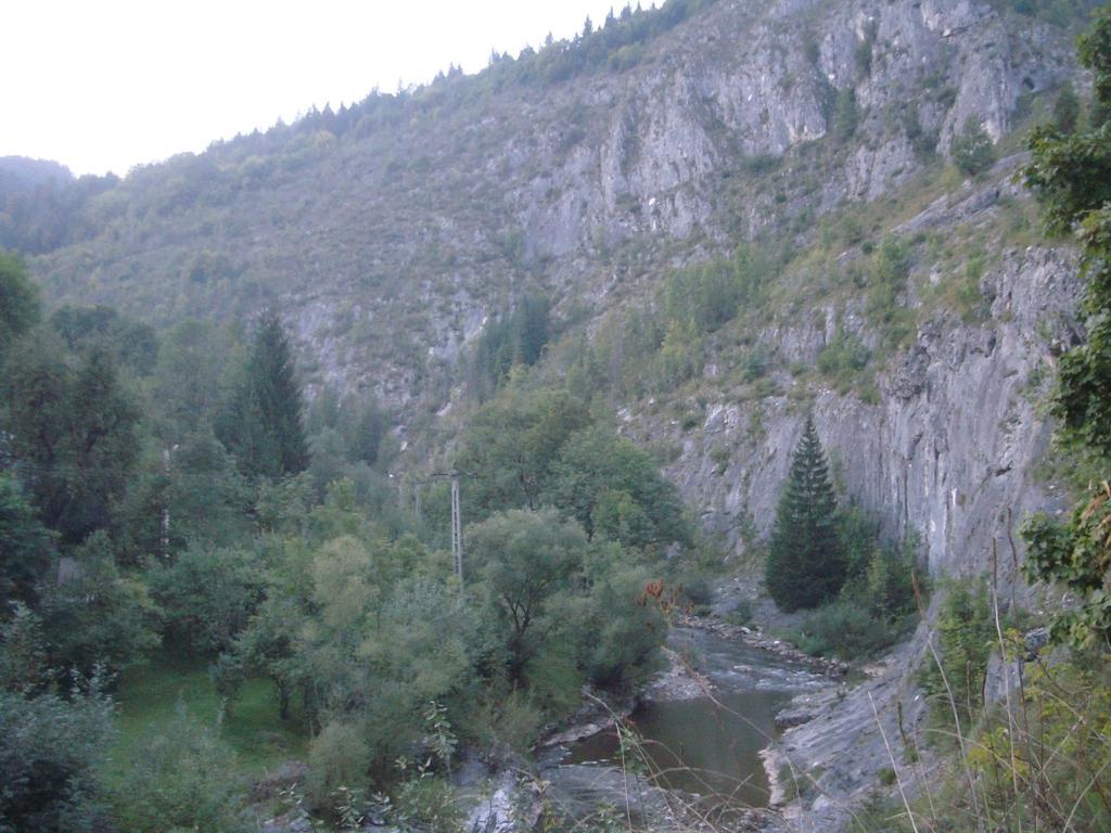Pensiunea Piatra Mandrutului *