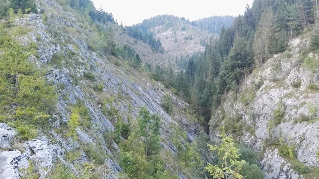 Pensiunea Piatra Mandrutului