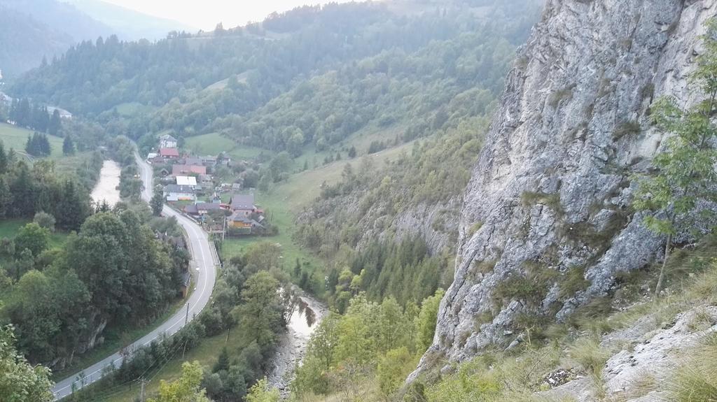 Pensiunea Piatra Mandrutului Scarisoara (Alba)